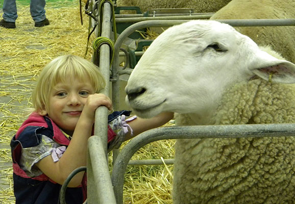Wattle Farm Border Leicesters /edit/Images/DSCN4300.JPG
