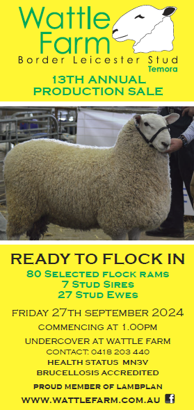 2024 WATTLE FARM 13TH ANNUAL PRODUCTION SALE