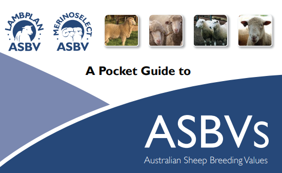 2018_POCKET-GUIDE_TO_ASBVS.PNG