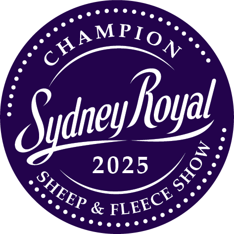 RASCHAMPION_2025_SHEEPFLEECESHOW RASCHAMPION_2025_SHEEPFLEECESHOW